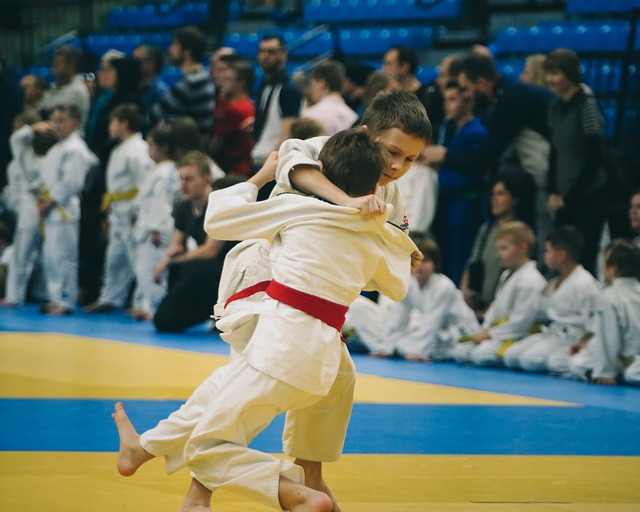 judo-4454836_640